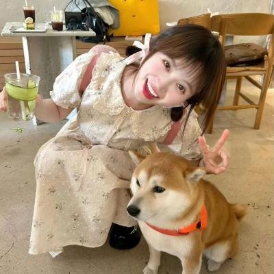 狗吃掉了影子