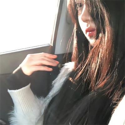 哈莉·奎茵第一季